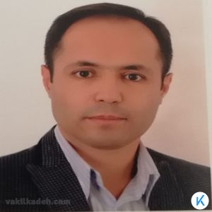 ناصر افشار دولجینی