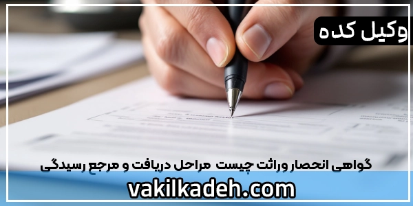 گواهی انحصار وراثت چیست | مراحل دریافت و مرجع رسیدگی